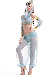 Aladdin Princess Jasmine Costume Adults..
