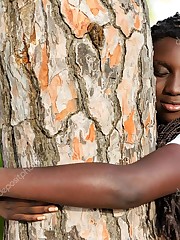 African lad with braids embracing tree. -